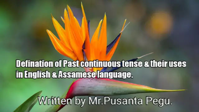 Defination of Past continuous tense & their uses in English & Assamese language.