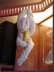 monkey