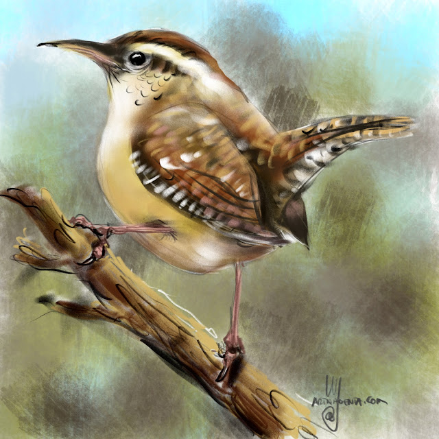 Carolina Wren bird painting by Artmagenta