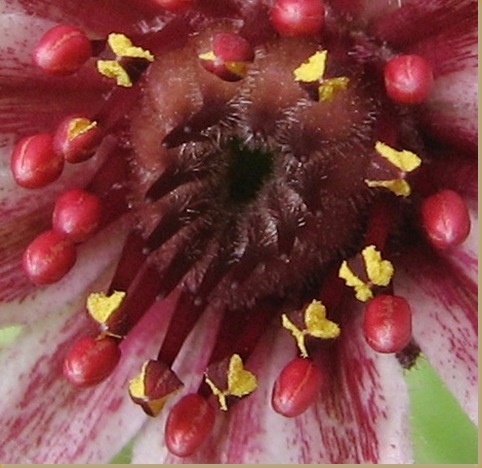 20120929 (02b)