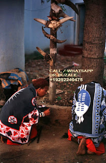 Best Anointed Traditional Healer - Sangoma in Mayberry Park, New Redruth South Africa +27769581169