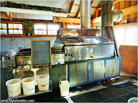 Maple Sugar Season en Massachusetts: South Face Farm