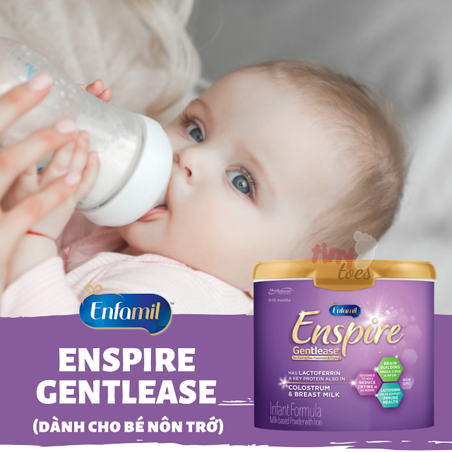 Hướng dẫn pha sữa Enfamil Enspire Gentlease