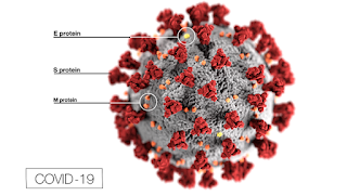 Coronavirus update