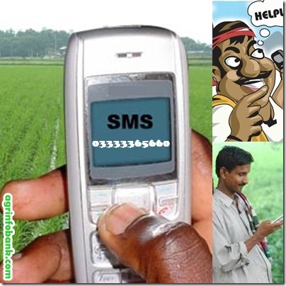 Agriculture through SMS