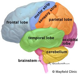 Brain Tumor Symptoms Pictures
