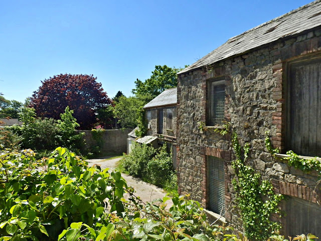 Abandoned cottage, Cornwall