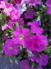 IMG_19700408_200011