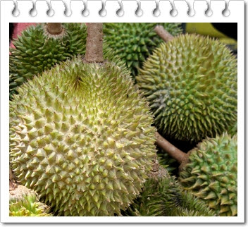 manfaat vitamin dan mineral buah durian