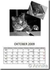 11oktober09
