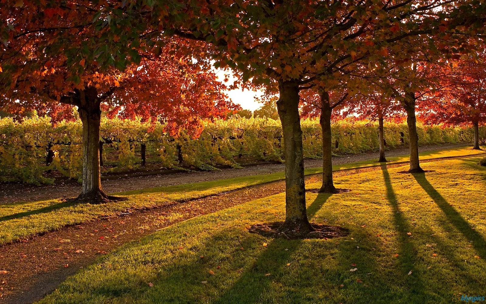 Description: Download Autumn Scenic Wallpaper, Autumn Scenic Free ...