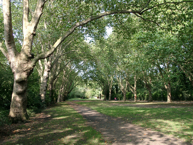 Bishop's Park, Fulham, London