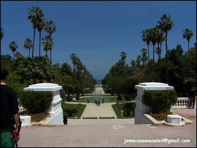 Jardinier aux Jardins d'Essai d'Alger