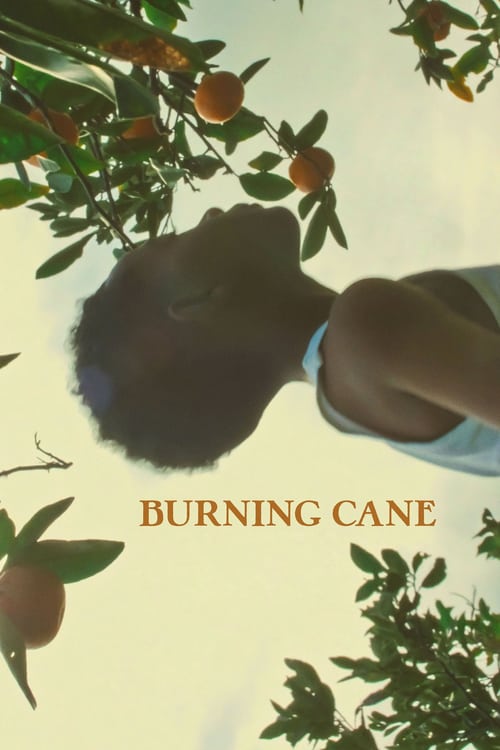 Burning Cane 2019 Film Completo Online Gratis