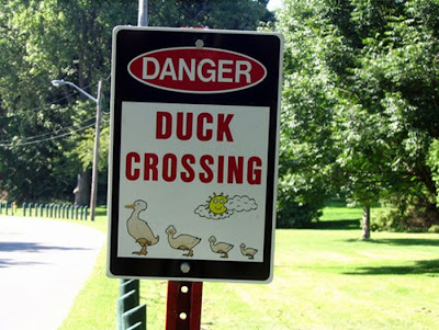 One Hundred Hilarious Funny Sign Fails