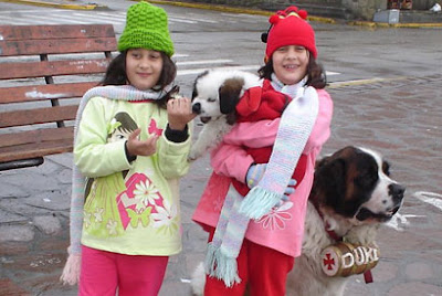 Foto com cães São Bernardo na Calle Mitre, em Bariloche.
