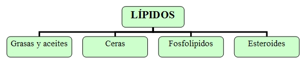 Clasificación esquemática de los lípidos