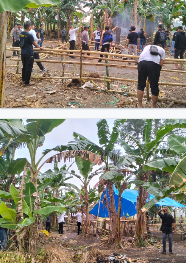 AKBP Adjie, Tak Ada Tempat Bagi Pelaku Judi Sabung Ayam di Wilayah Hukum Polres Pinrang