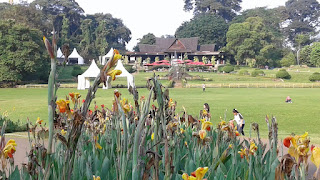 trip advisor bogor botanical garden