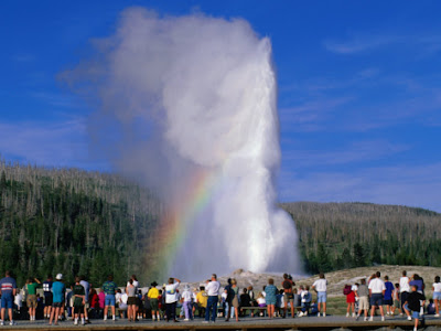 Faithful Geyse Yellowstone National Park