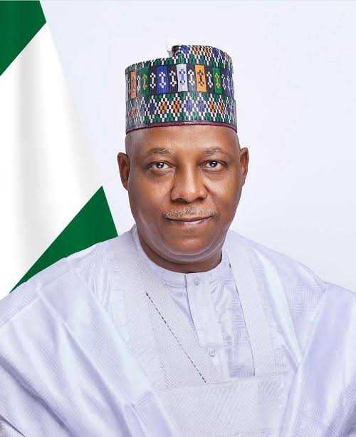 VP Kashim Shettima