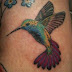 Humming Bird Symbol Tattoo Designs for Women