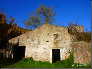 P1130348