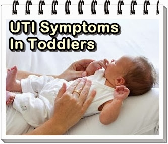 uti symptoms in babies and toddlers that we should know