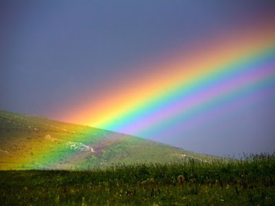 50 Best Rainbow Wallpapers