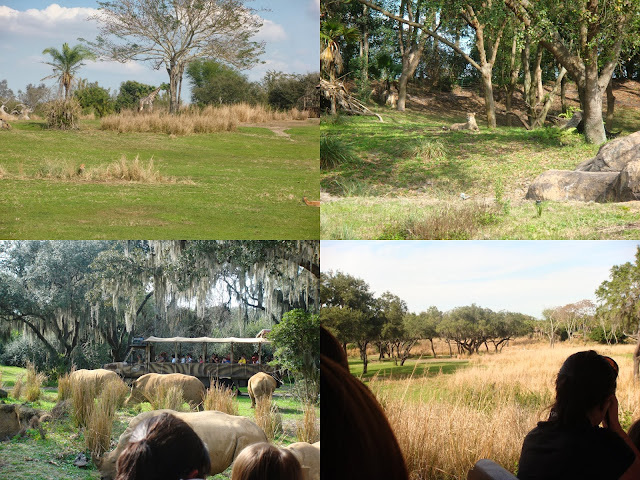 Kilimanjaro Safaris