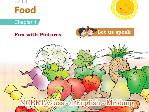 NCERT Class 1 English Mridang Chapter 6 Fun with Pictures, Fun with Pictures Class 1 English Chapter 6