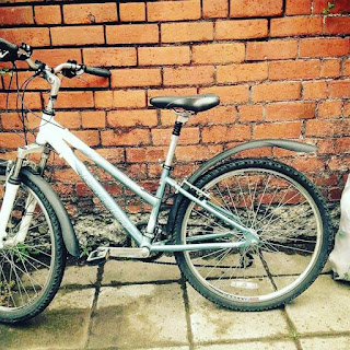 Stolen Bicycle - Raleigh Mountain Bike