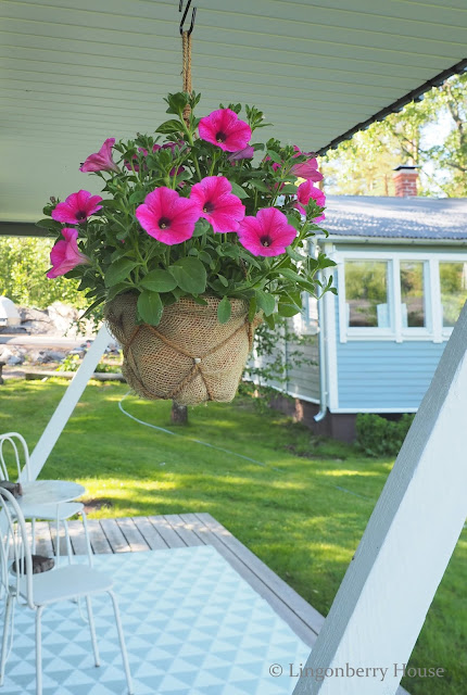 lingonberryhouse, istutuspöytä, planting table, garden, puutarha, kukka, flower