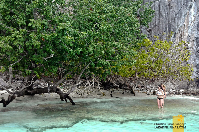 Koh Phi Phi Boat Tour Monkey Beach