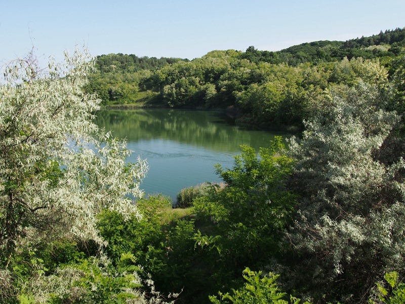 P5240351