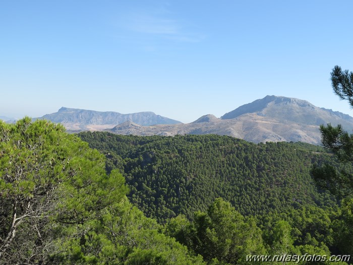 Area recreativa los Sauces - Peñón de Ronda