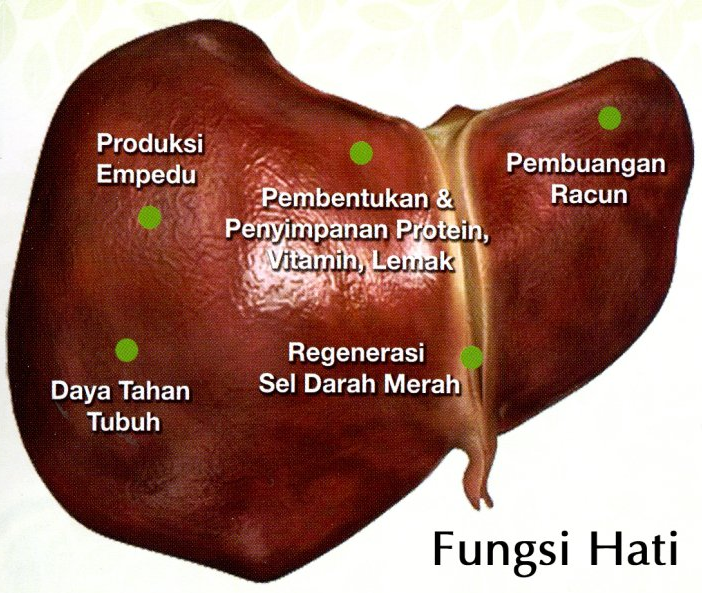 Masalah Hati Rosak