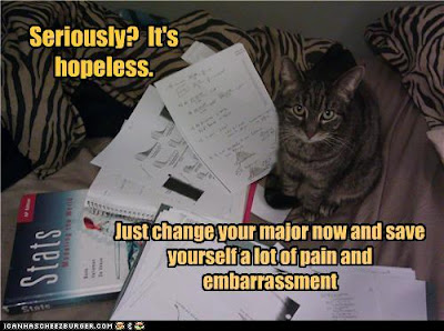 StatCat Could Eat No Fat