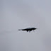 Maiden Flight of Chinese Lijian “Sharp Sword” Stealth UCAV