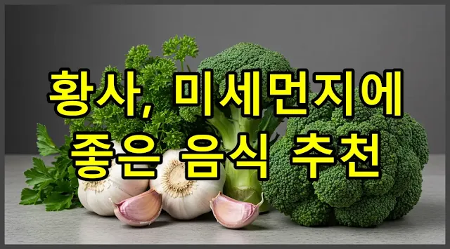 봄철 황사, 미세먼지에 좋은 추천 음식