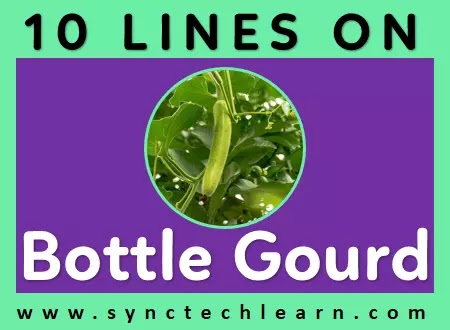 10 lines on bottle gourd in english