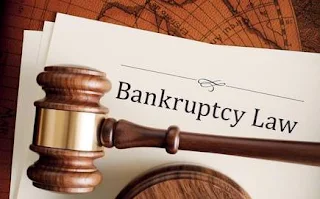 Insolvency and Bankruptcy Code (Second Amendment) Bill, 2019
