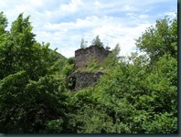 SAM_3201