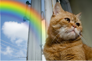Carta de un gatito desde el otro lado del puente del arcoíris