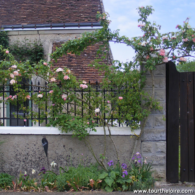 Roses over a gateway in the Loire Valley.  Indre et Loire, France. Photographed by Susan Walter. Tour the Loire Valley with a classic car and a private guide.