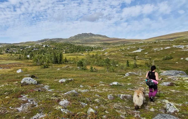 norefjell ranten stolpejakt tempelseter