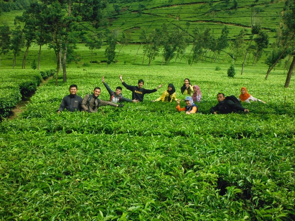 Berbagai gaya kami saat di Perkebunan Teh Tambi