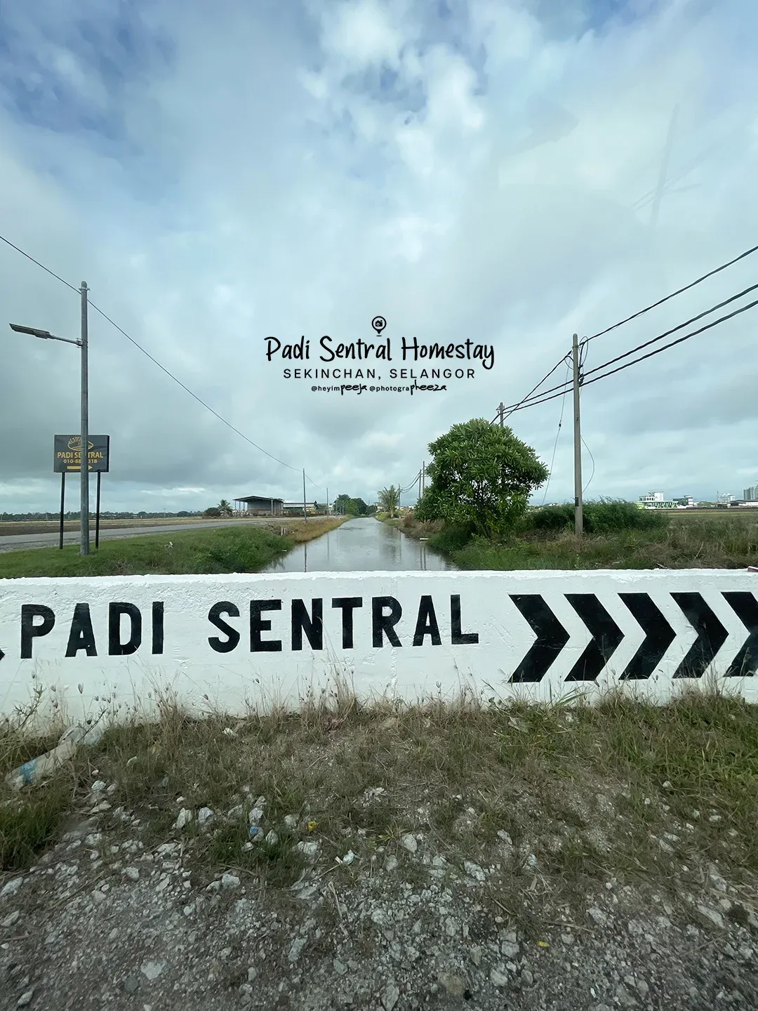 Potret Padi Sentral Homestay