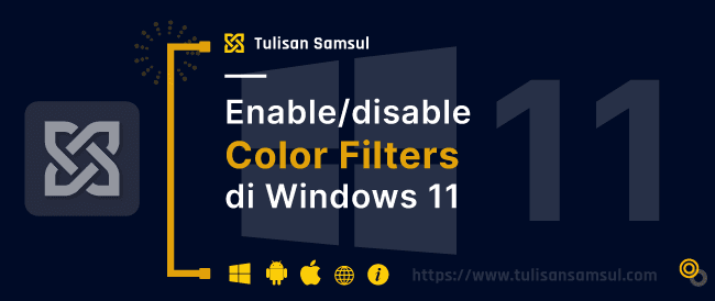 Bagaimana menghidupkan atau mematikan Filter Warna di Windows 11?