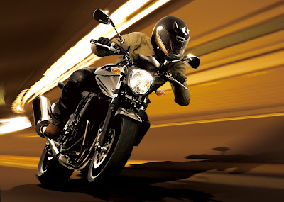 2010 Suzuki Bandit 1250 N Action